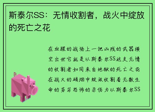 斯泰尔SS:无情收割者,战火中绽放的死亡之花